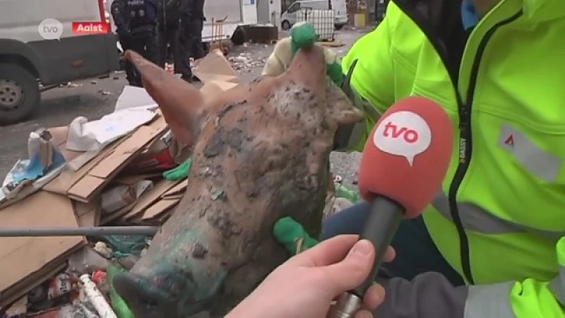 Hoofdafbeelding voor artikel Aalst Carnaval, 115 ton afval…