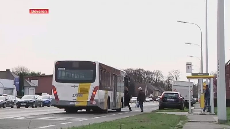 Hoofdafbeelding voor artikel De Lijn: "Geen tram, of trambus,…