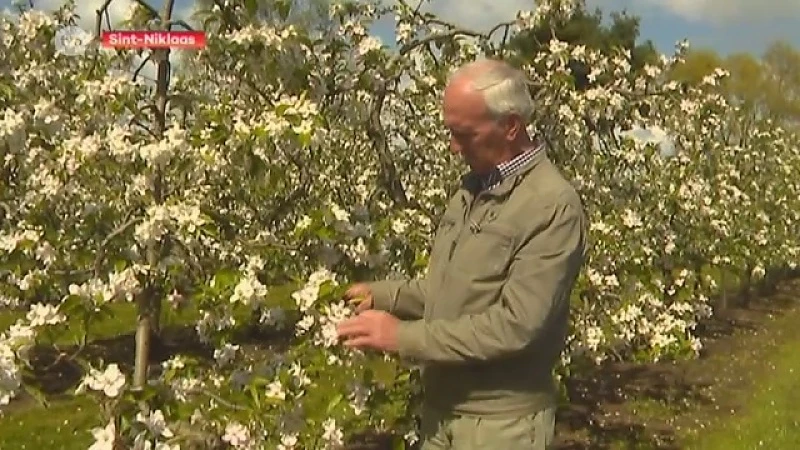 Fruittelers houden temperatuur nauwlettend in de gaten