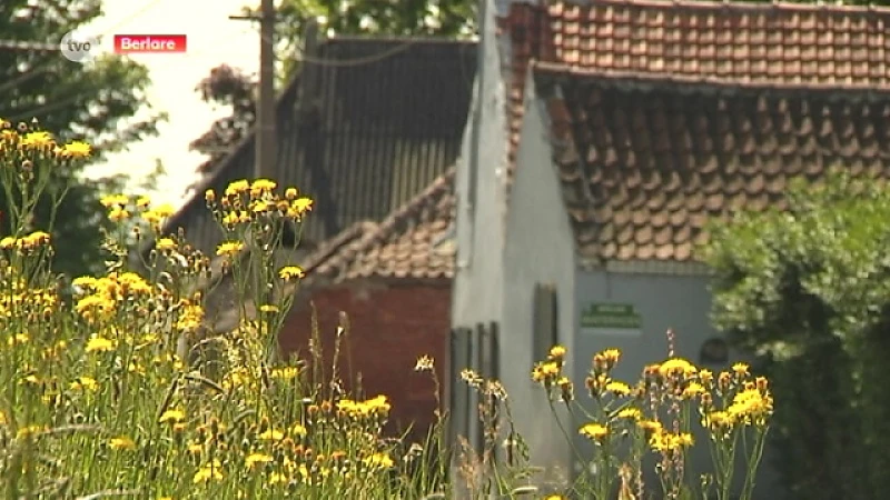 Illegale hondenfokkerij opgerold in Berlare