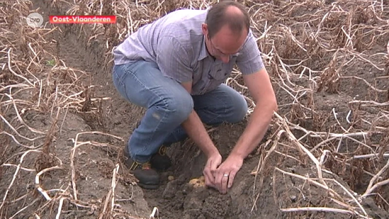 Droogte zorgt voor problemen in de landbouw