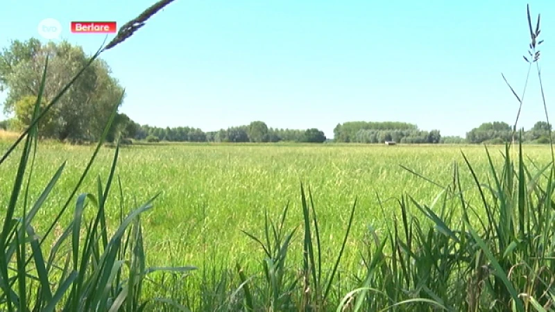 KMI-rapport moet bepalen of extreme droogte een ramp is