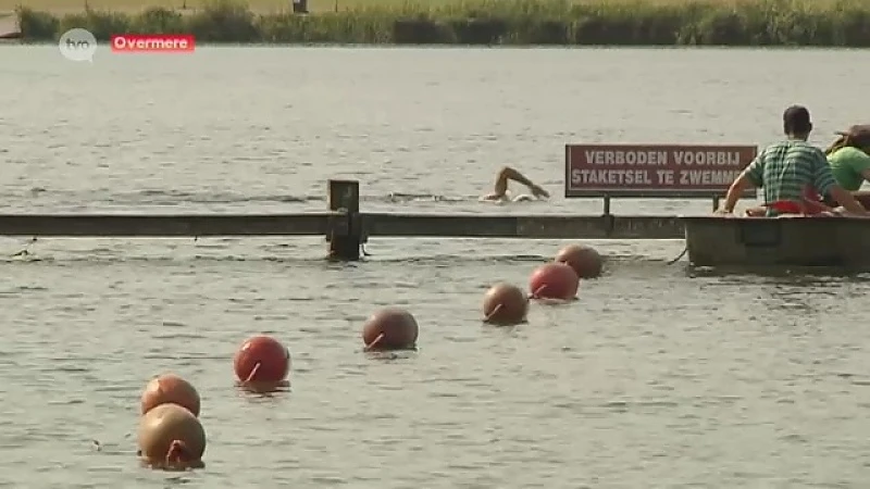 Visdiefkoppel valt zwemmers in Nieuwdonk aan