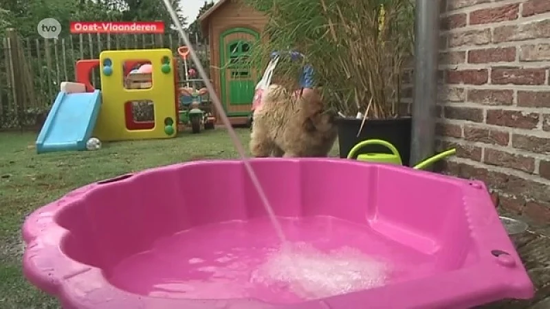 Sproeiverbod laat zich meteen voelen in drinkwaterverbruik