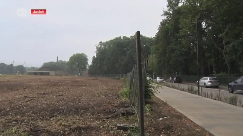 Projectontwikkelaar kapt illegaal bomen op grond voor parkuitbreiding in Aalst