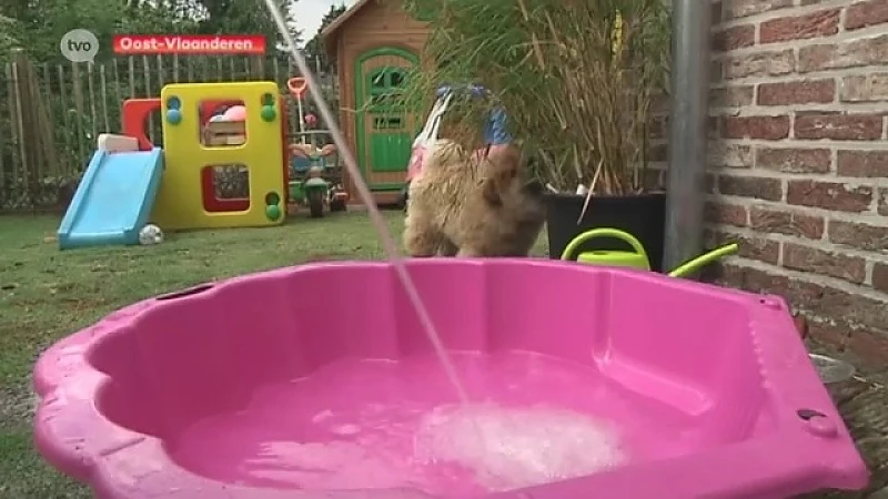 Hoofdafbeelding voor artikel Sproeiverbod is zaterdag voorbij