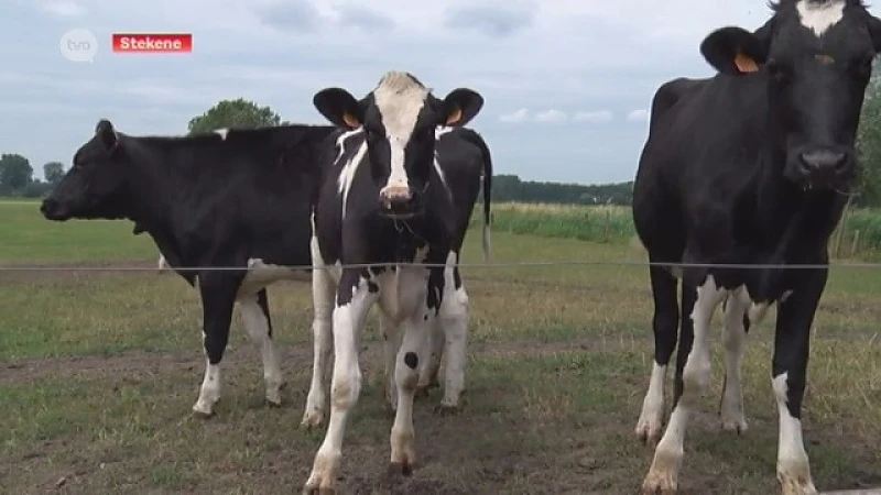 Bioboeren boeren goed