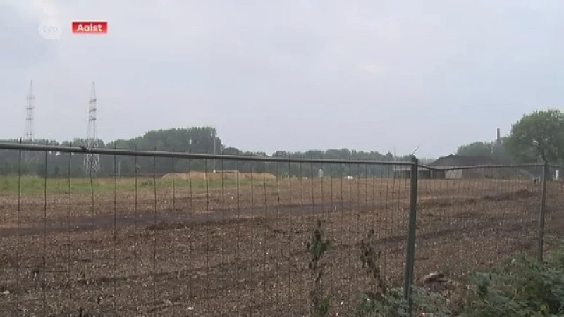 Aalst neemt topadvocaat onder de arm voor illegale bomenkap