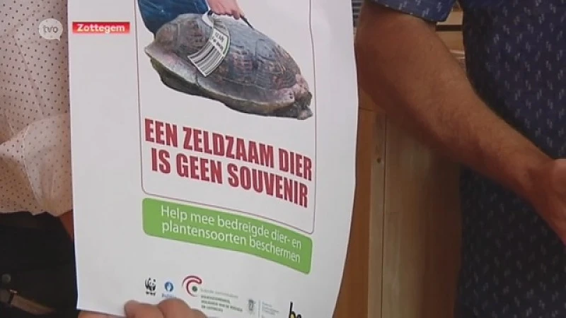 Zottegem vraagt inwoners om geen exotische dieren of planten mee te nemen vanop reis