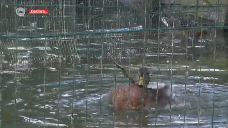 Dierenpark De Eendenkooi krijgt make-over