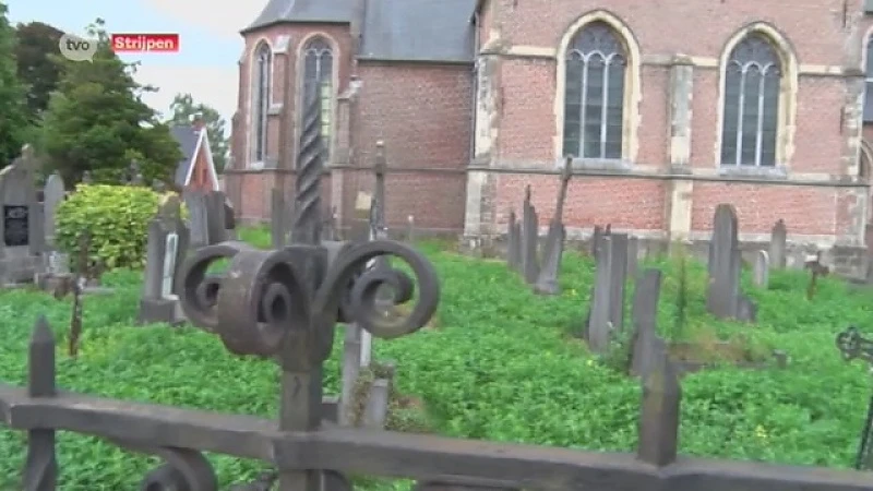 Onkruid op begraafplaats Zottegem staat tot 1 meter hoog
