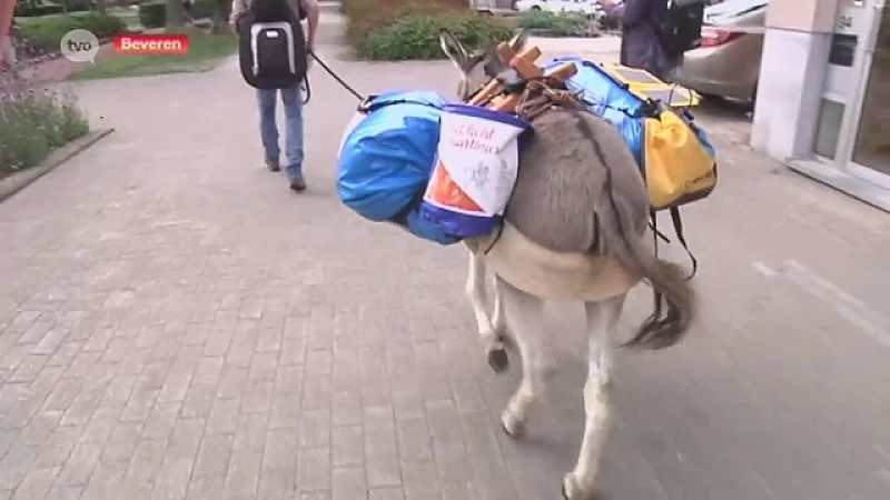 Nederlandse theatermaker passeert Beveren op pelgrimstocht met ezel langs Sint-Martinusroute