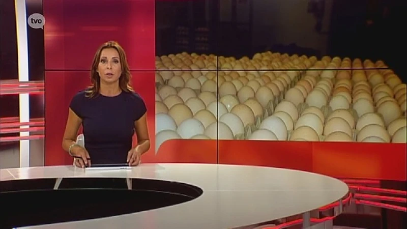 Hoofdafbeelding voor artikel Federale politie valt binnen…