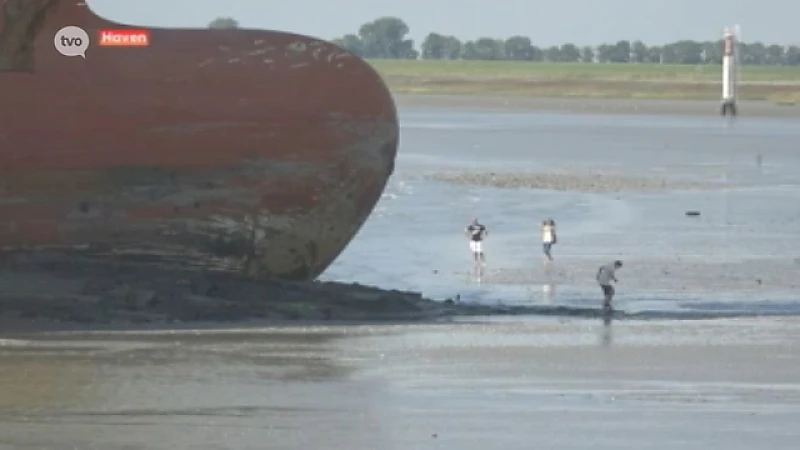 Chaos in Antwerpse haven na vastgelopen containerreus in bocht van Bath bij Doel