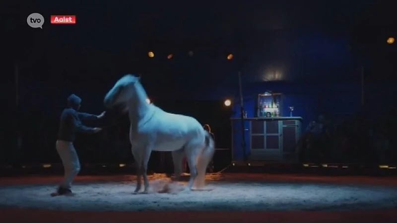 Hoofdafbeelding voor artikel Cirk! pakt uit met knappe…