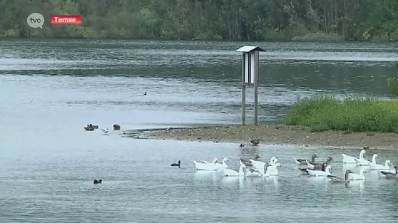 Aannemersbedrijf uit Temse wil oevers Waesmeer in Tielrode grondig vernieuwen