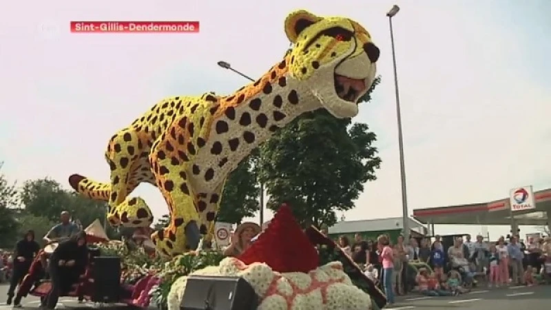 800.000 bloemen voor 67ste Bloemencorso in Sint-Gillis Dendermonde