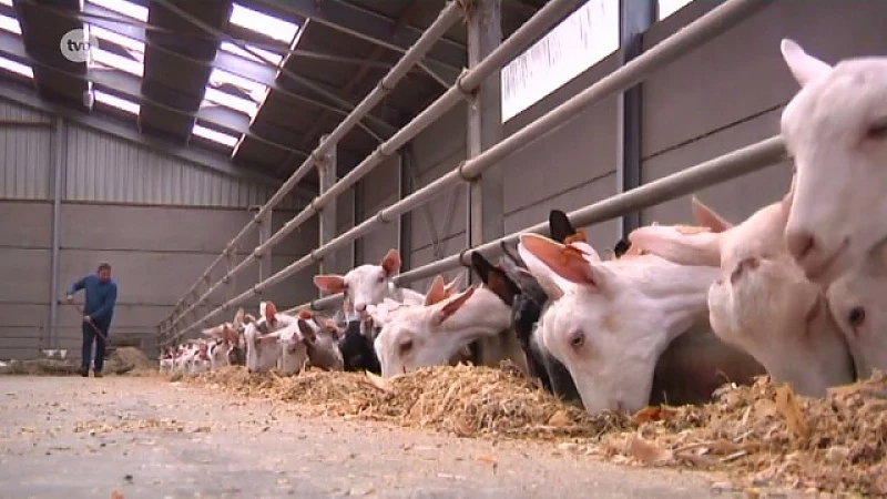 Sint-Niklaas TV: Dag van de landbouw