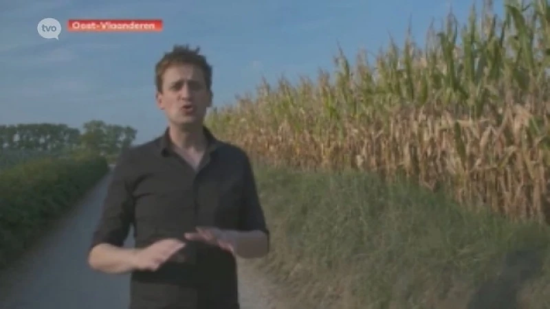 Hoofdafbeelding voor artikel Vincenzo keert met nieuw programma…