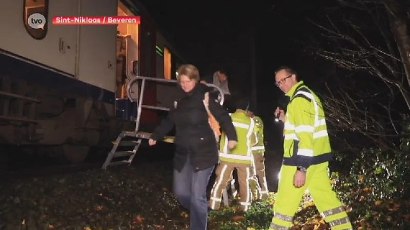 Sint-Niklaas: Koeien aangereden door trein, treinverkeer tot de middag verstoord
