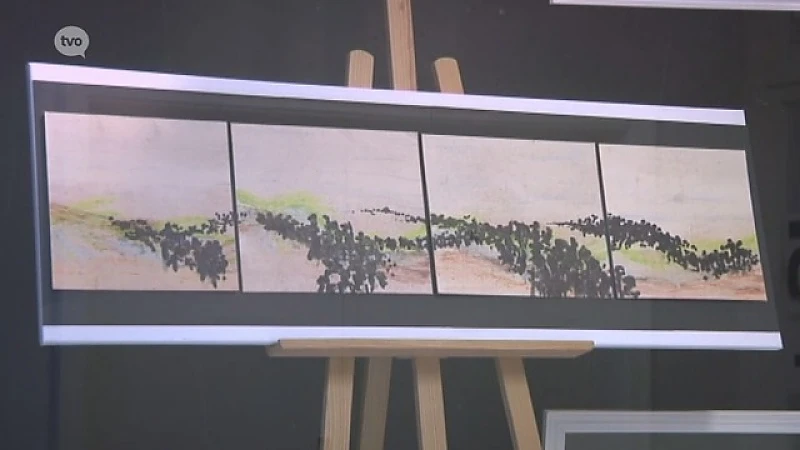 Hoofdafbeelding voor artikel Sint-Niklaas TV: Van Heinde…