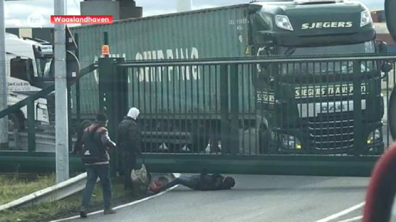 Acht vluchtelingen uit vrachtwagen gehaald in Waaslandhaven