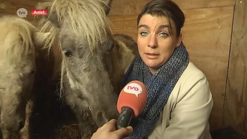 Opnieuw geval van verwaarloosde dieren in Aalst