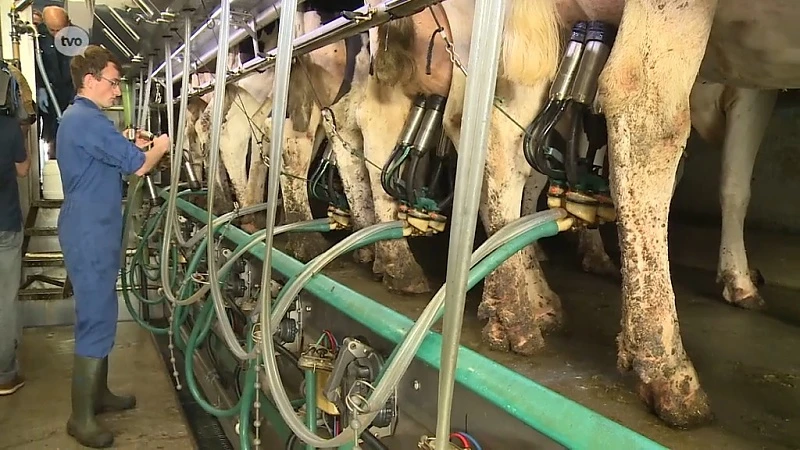 Hoofdafbeelding voor artikel Plattelandspret: Afl. 11 2018