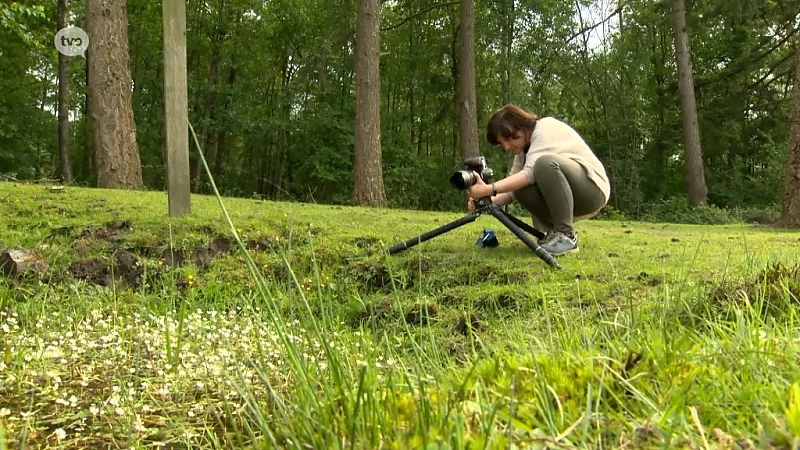 In De Buurt -  Natuurfotografie