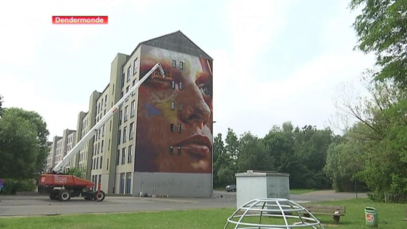 Street art op twintig plaatsen in Dendermonde