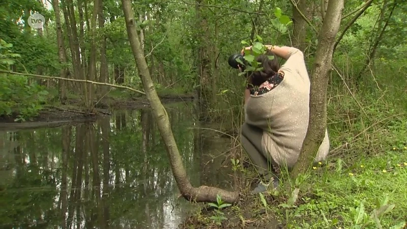 Hoofdafbeelding voor artikel In De Buurt - Het beste van…