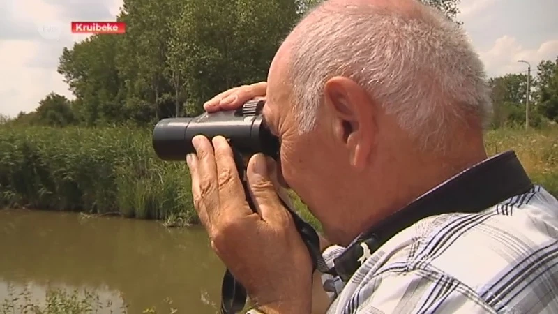 Almaar meer nieuwe diersoorten in Polders Kruibeke