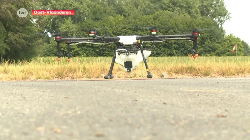 Eerste sproeidrone uitgetest in Oost-Vlaanderen