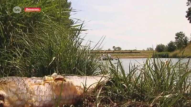 Geen blauwalg in water Fort Liefkenshoek