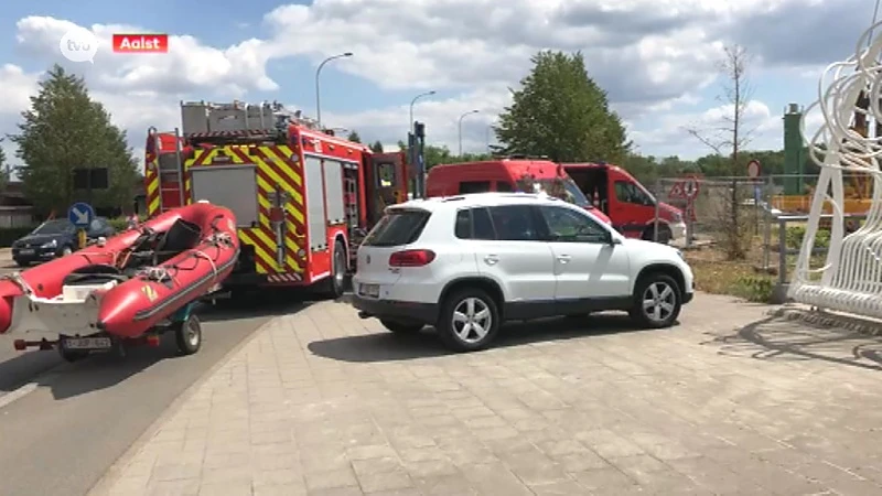 Duiker vecht voor zijn leven na ongeval in Aalst