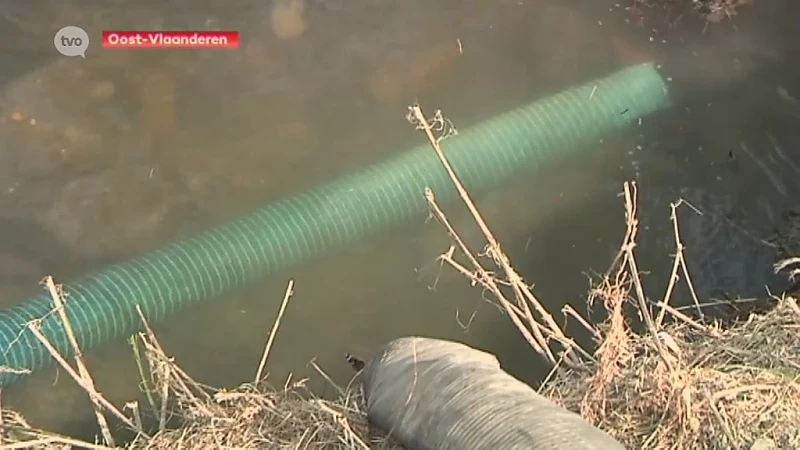 Hoofdafbeelding voor artikel Droogte: Verbod op overdag…