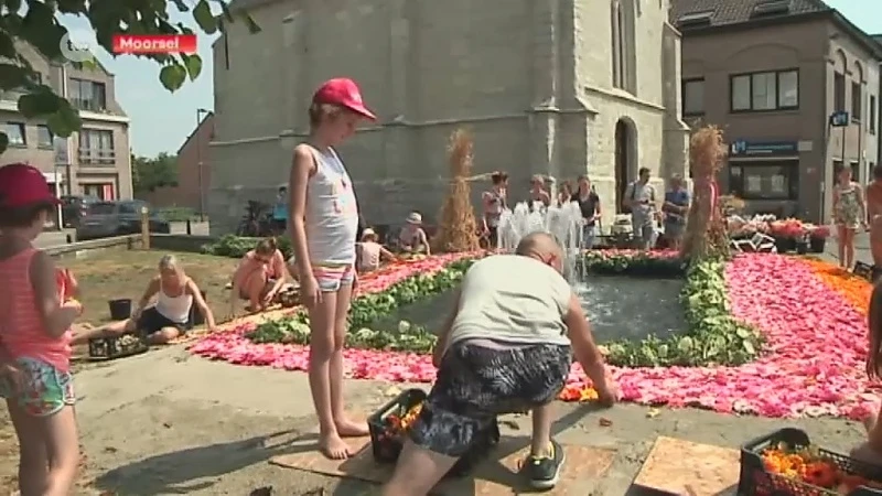 Moorsel: 30 vrijwilligers verwerken 30.000 snijbloemen in bloementapijt Pikkeling