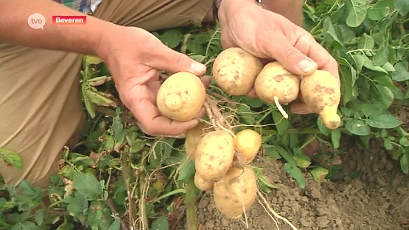 Landbouwers vrezen deel producten niet meer kwijt te raken