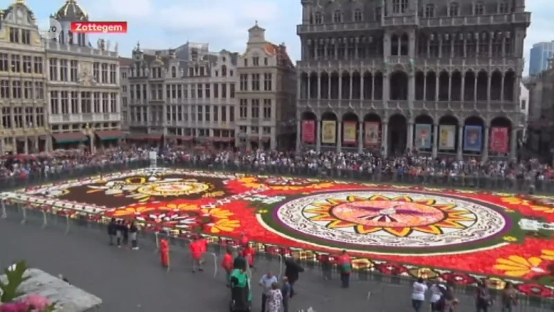 Mexicaans Bloementapijt siert Brusselse Grote Markt