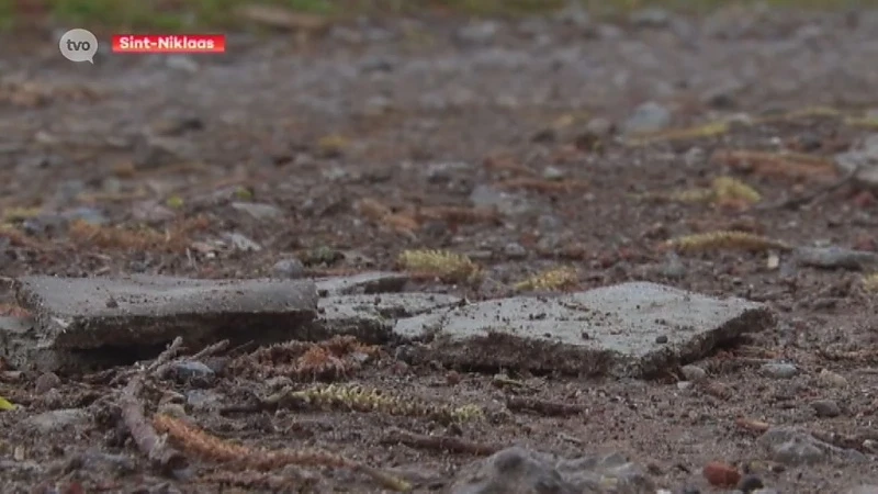 Hoofdafbeelding voor artikel Schauvliege bezegelt lot van…