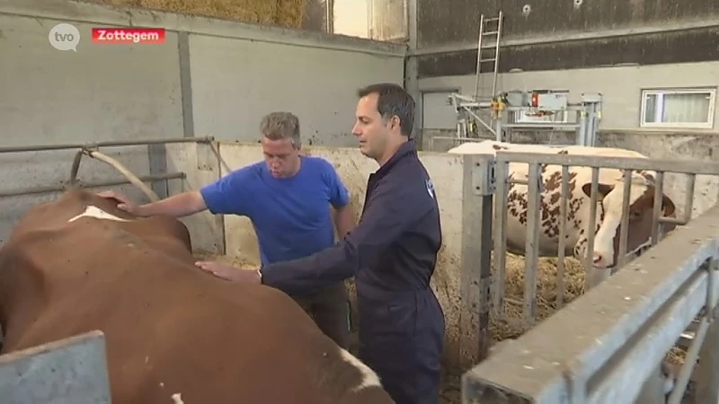 Vicepremier Alexander De Croo op stage bij Zottegems melkveebedrijf
