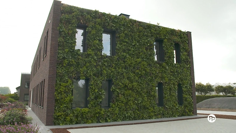 Hoofdafbeelding voor artikel Plattelandspret: Afl. 18 2018