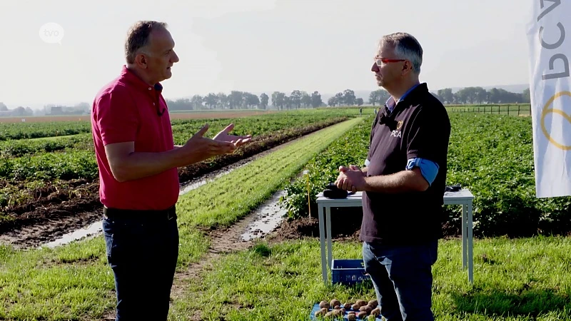 Hoofdafbeelding voor artikel Plattelandspret: Afl. 19 2018