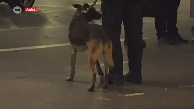 Aalst: Politieactie tegen "garageboxcriminaliteit" in ondergrondse parking