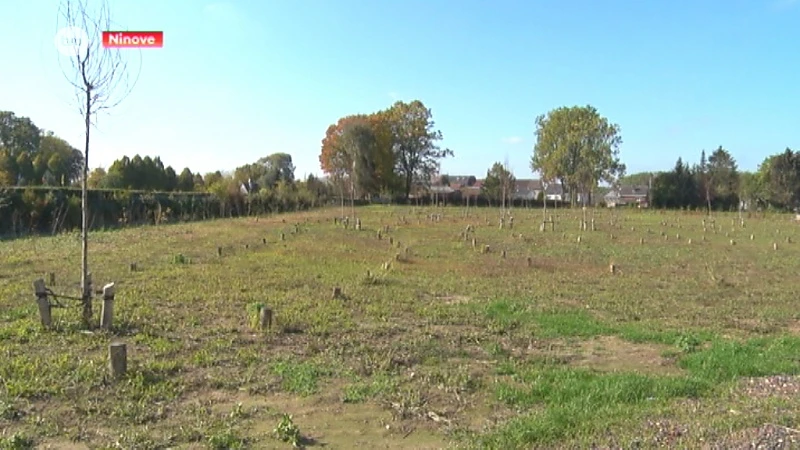 Eerste dierenkerkhof in Vlaanderen geopend in Ninove