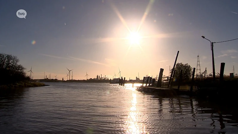 In De Buurt - Evonik viert 50ste verjaardag in Lillo