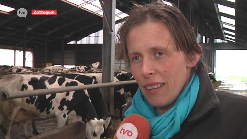 Boerin uit Zottegem: 'Ik zou mijn kinderen niet aanraden in de boerenstiel te stappen.'