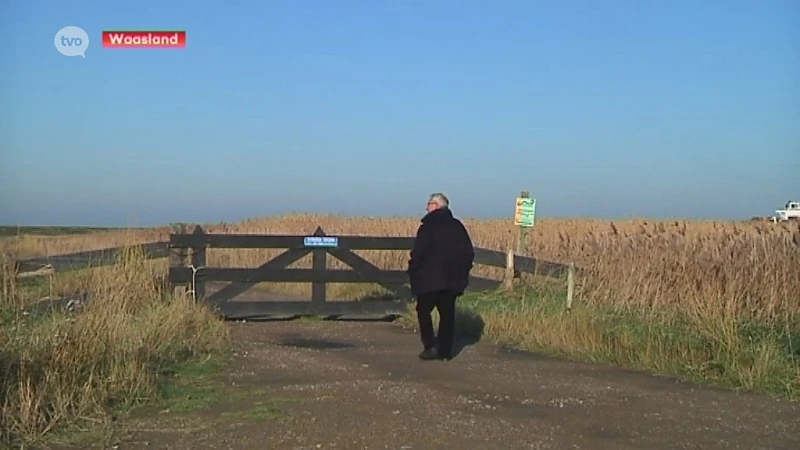 Oud-schaapherder vreest verzanding bij creatie Grenspark Groot Saeftinghe