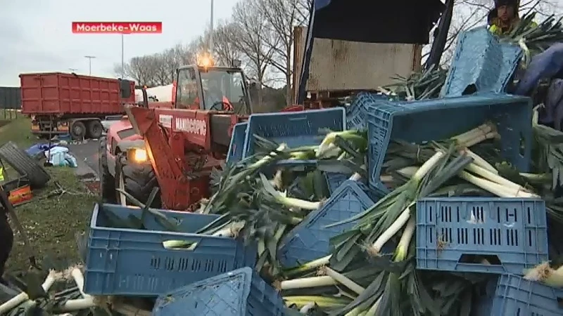 Lading prei en spruiten op E34 na botsing van twee vrachtwagens