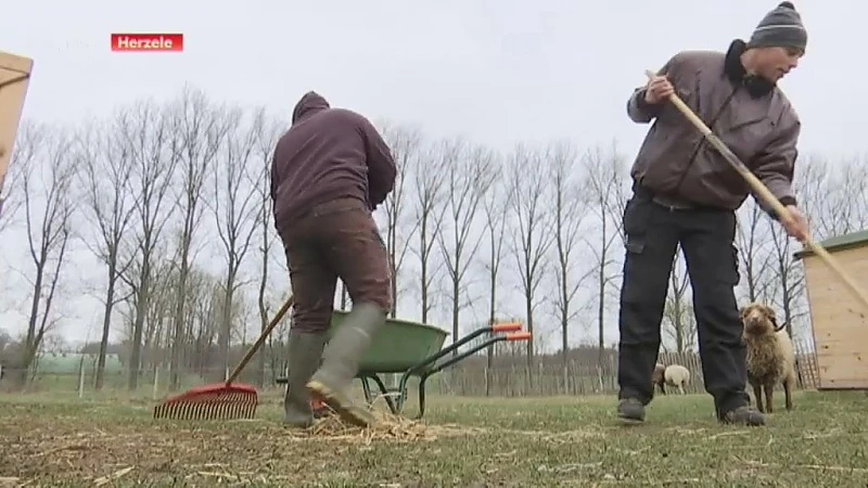 Vlaamse overheid wil het samenhorigheidsgevoel in dorpen en buurten weer opkrikken